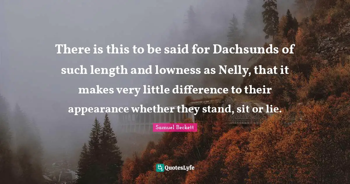 There is this to be said for Dachsunds of such length and lowness as Nelly, that it makes very little difference to their appearance whether they stand, sit or lie.