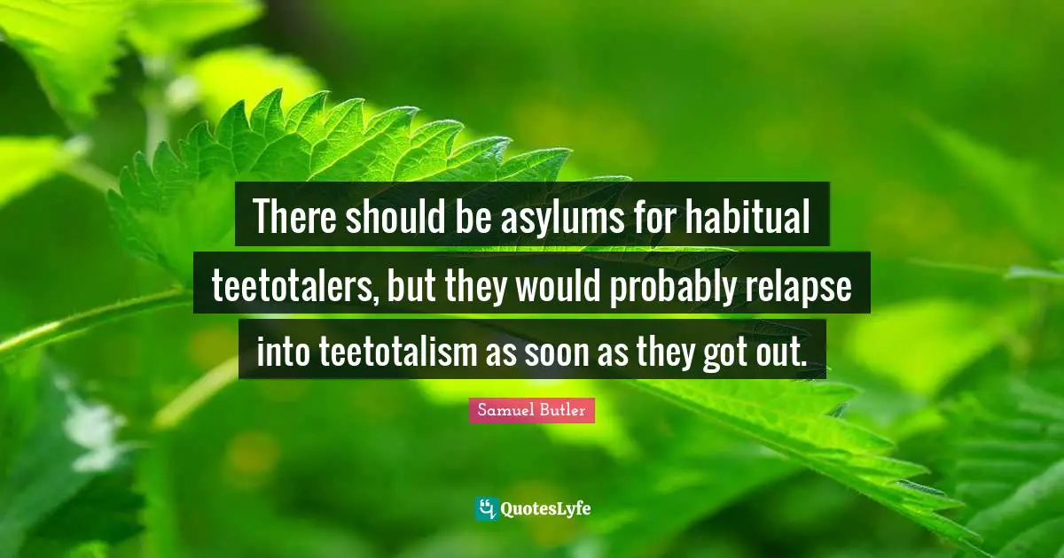 Asylums Quotes: "There should be asylums for habitual teetotalers, but they would probably relapse into teetotalism as soon as they got out."