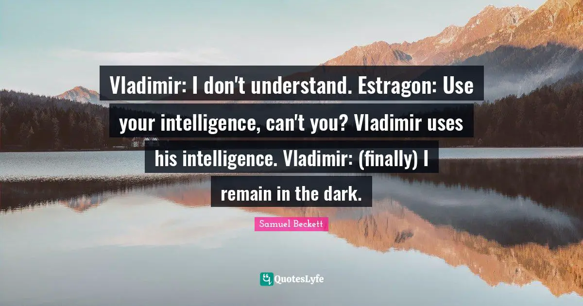 Vladimir: I don't understand. Estragon: Use your intelligence, can't you? Vladimir uses his intelligence. Vladimir: (finally) I remain in the dark.