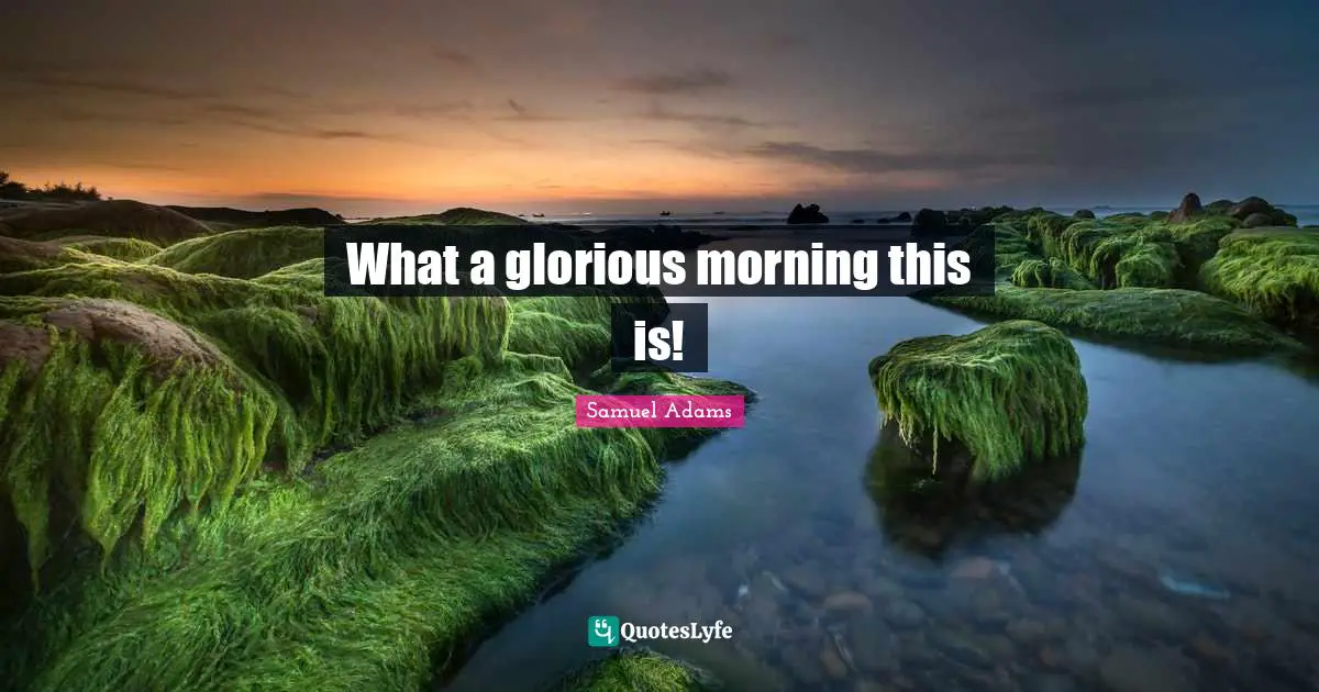 American Revolution Quotes: "What a glorious morning this is!"