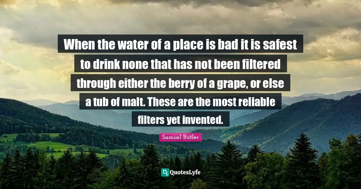 When the water of a place is bad it is safest to drink none that has not been filtered through either the berry of a grape, or else a tub of malt. These are the most reliable filters yet invented.