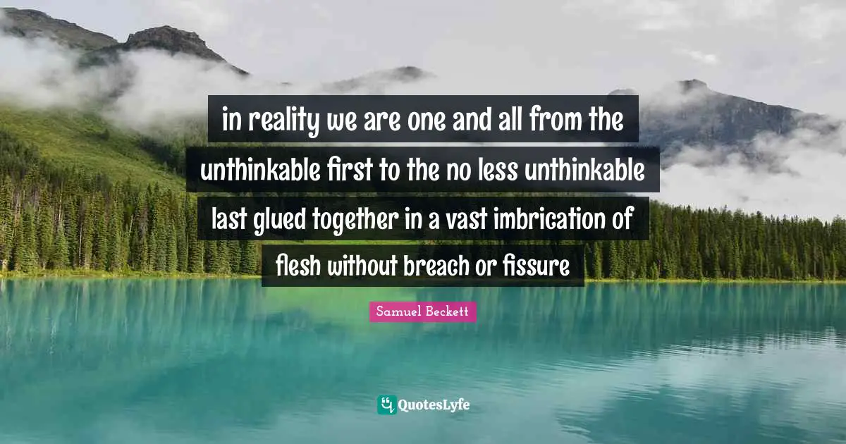 in reality we are one and all from the unthinkable first to the no less unthinkable last glued together in a vast imbrication of flesh without breach or fissure