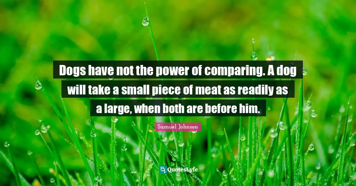 Dogs have not the power of comparing. A dog will take a small piece of meat as readily as a large, when both are before him.