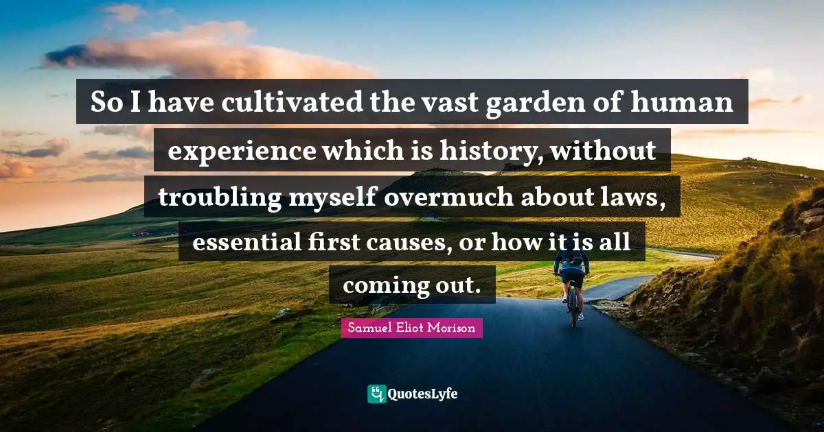 So I have cultivated the vast garden of human experience which is history, without troubling myself overmuch about laws, essential first causes, or how it is all coming out.