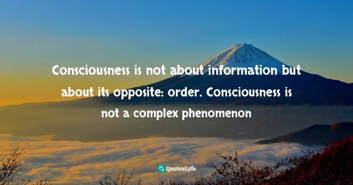 Consciousness is not about information but about its opposite: order. Consciousness is not a complex phenomenon