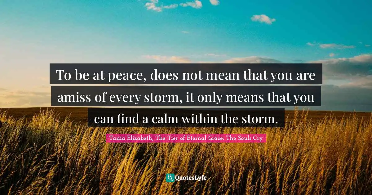To be at peace, does not mean that you are amiss of every storm, it only means that you can find a calm within the storm.