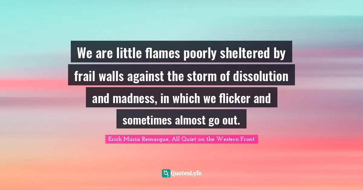 We are little flames poorly sheltered by frail walls against the storm of dissolution and madness, in which we flicker and sometimes almost go out.