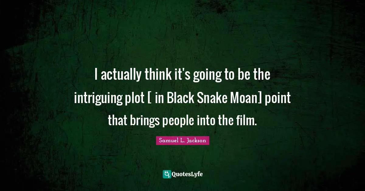 I actually think it's going to be the intriguing plot [ in Black Snake Moan] point that brings people into the film.