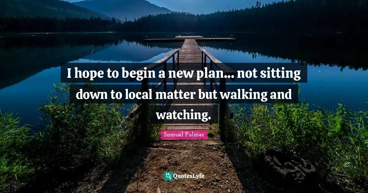 I hope to begin a new plan... not sitting down to local matter but walking and watching.