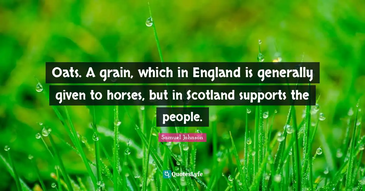 Oats. A grain, which in England is generally given to horses, but in Scotland supports the people.