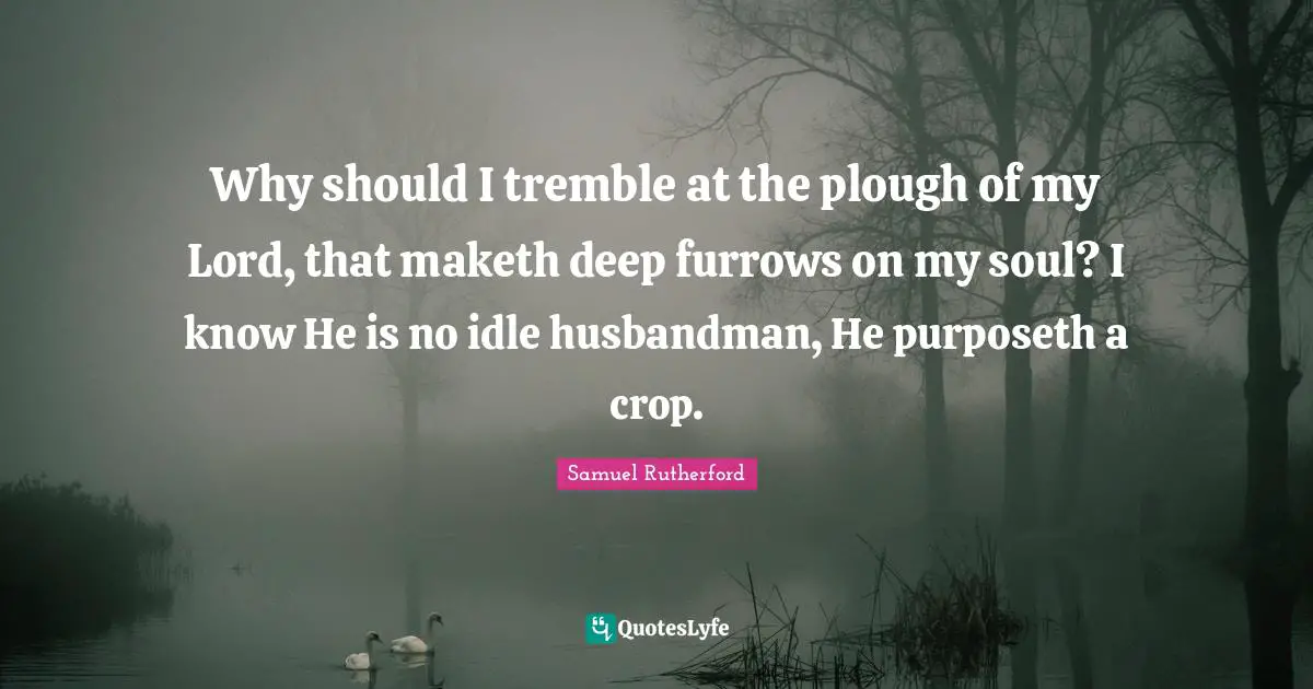 Samuel Rutherford Quotes: "Why should I tremble at the plough of my Lord, that maketh deep furrows on my soul? I know He is no idle husbandman, He purposeth a crop."