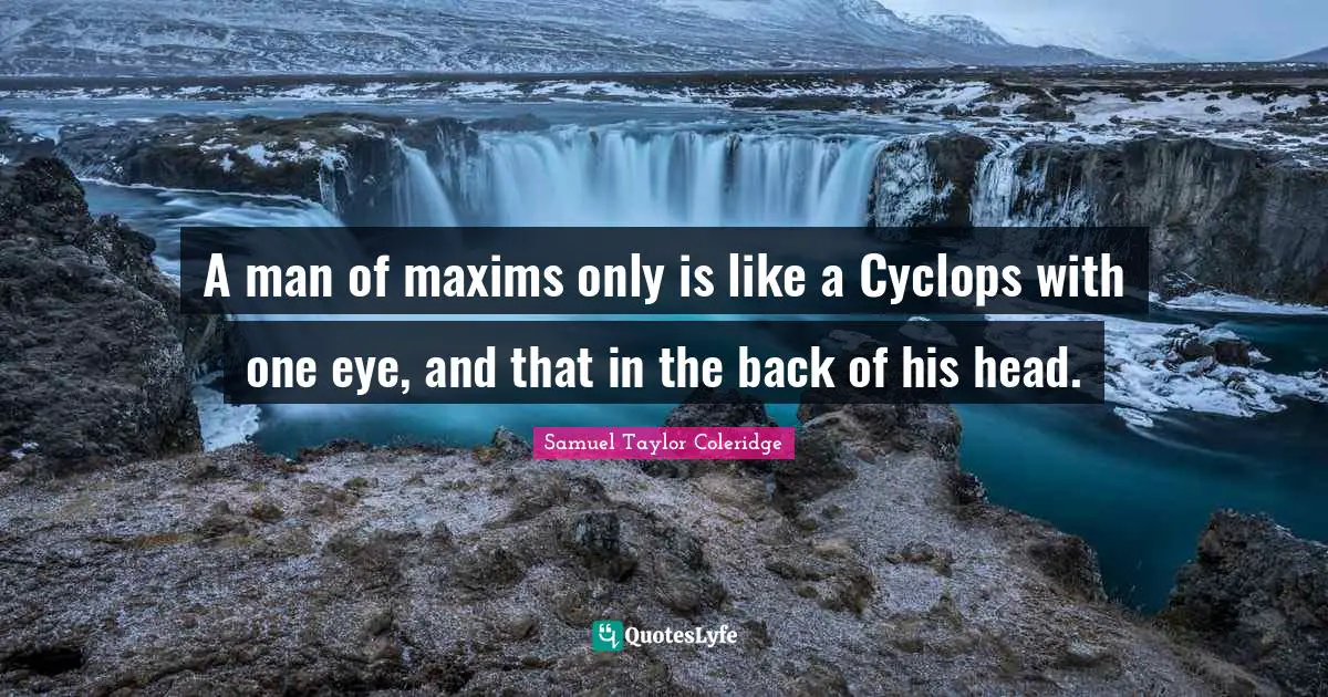 A man of maxims only is like a Cyclops with one eye, and that in the back of his head.