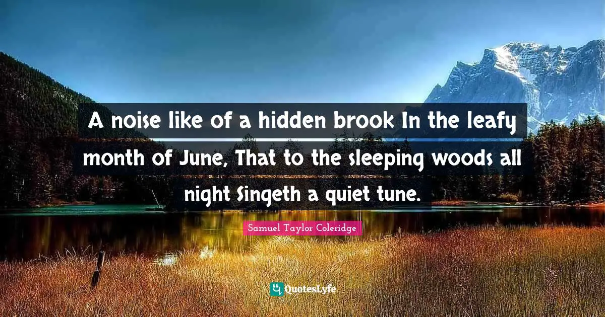 A noise like of a hidden brook In the leafy month of June, That to the sleeping woods all night Singeth a quiet tune.