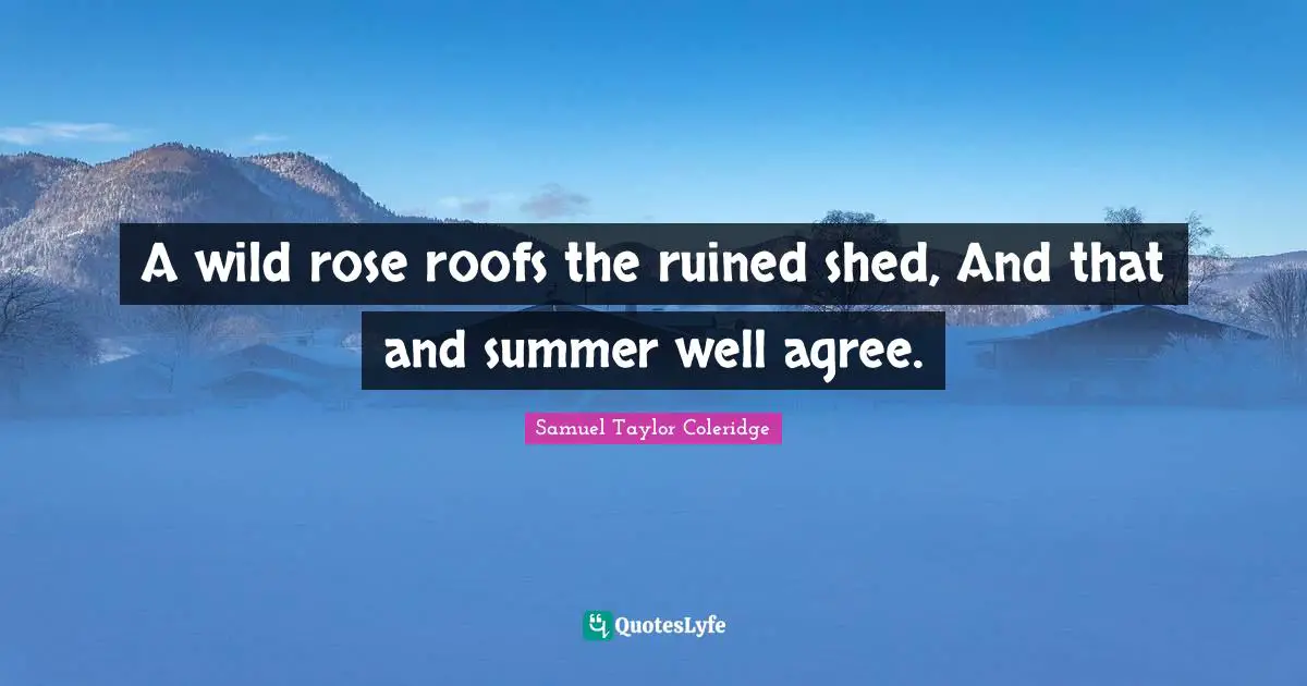 A wild rose roofs the ruined shed, And that and summer well agree.