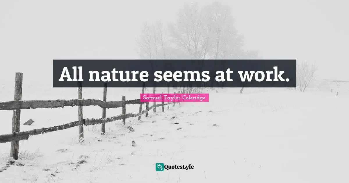 All nature seems at work.