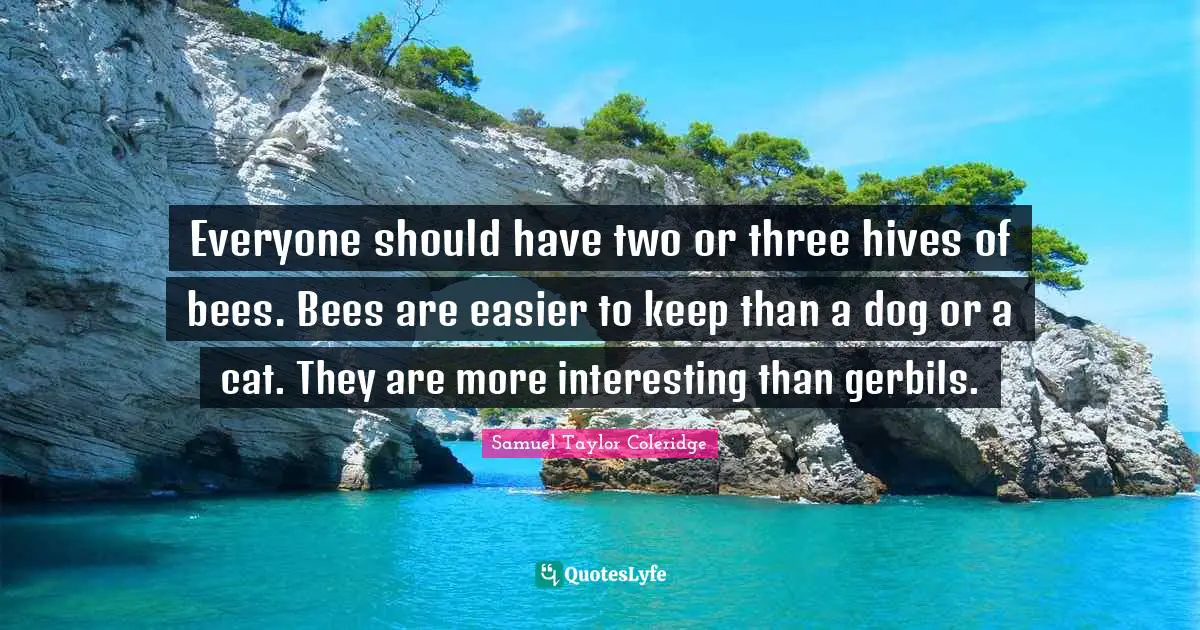 Everyone should have two or three hives of bees. Bees are easier to keep than a dog or a cat. They are more interesting than gerbils.