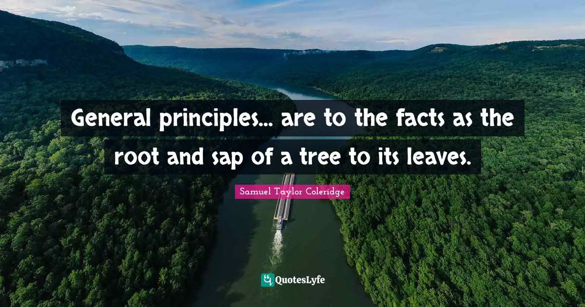 General principles... are to the facts as the root and sap of a tree to its leaves.