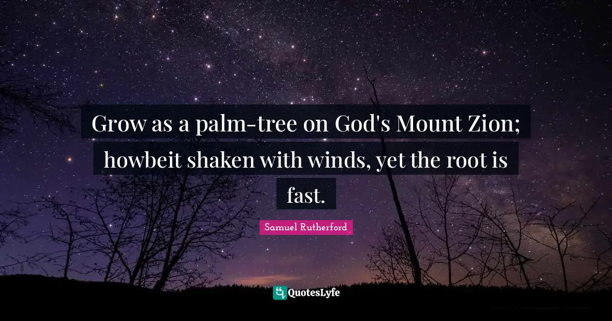 Samuel Rutherford Quotes: "Grow as a palm-tree on God's Mount Zion; howbeit shaken with winds, yet the root is fast."