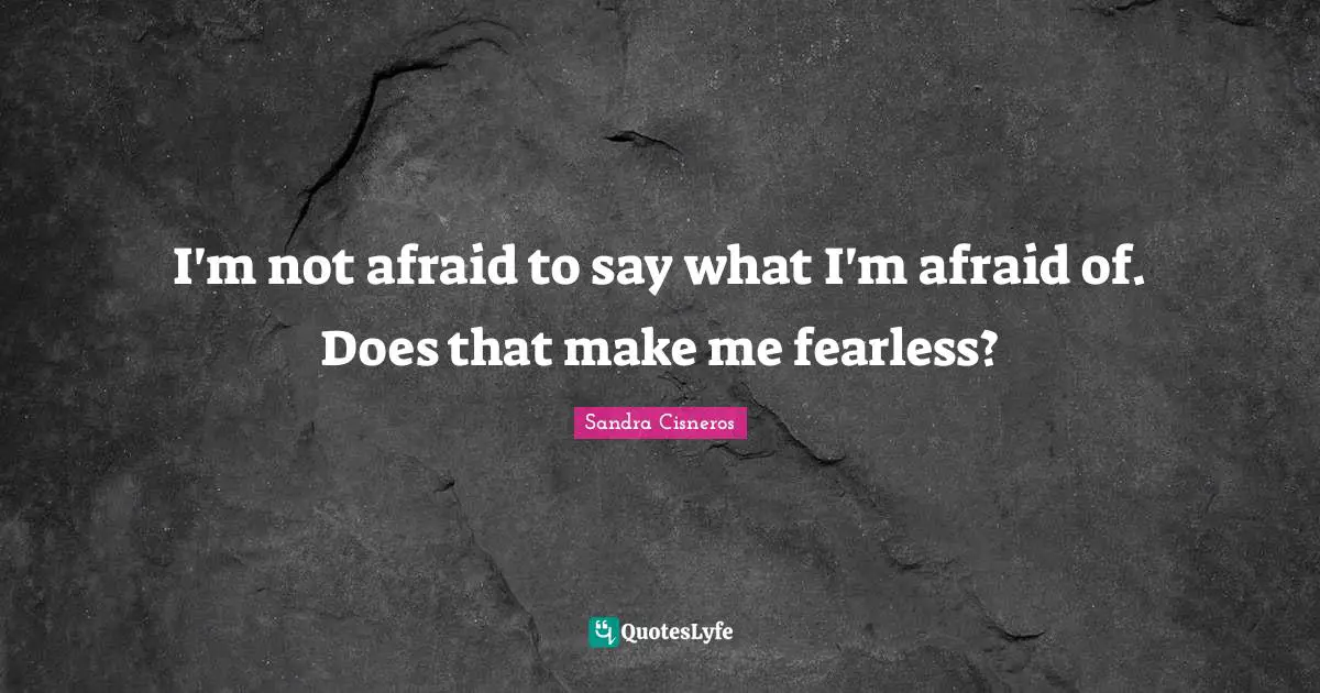 I'm not afraid to say what I'm afraid of. Does that make me fearless?