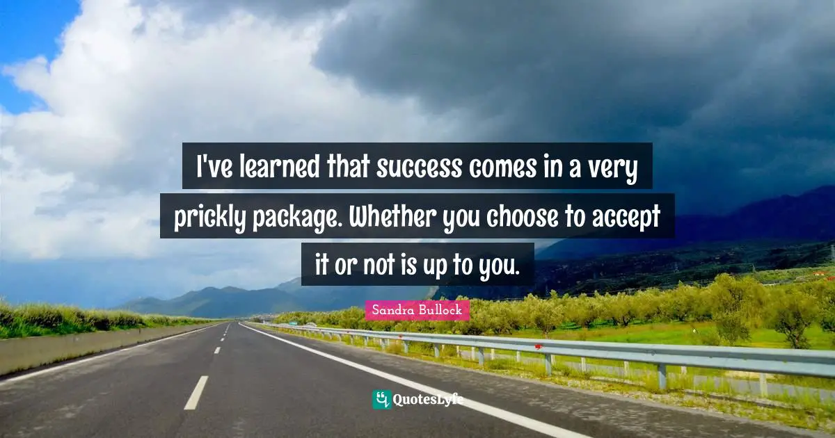 I've learned that success comes in a very prickly package. Whether you choose to accept it or not is up to you.
