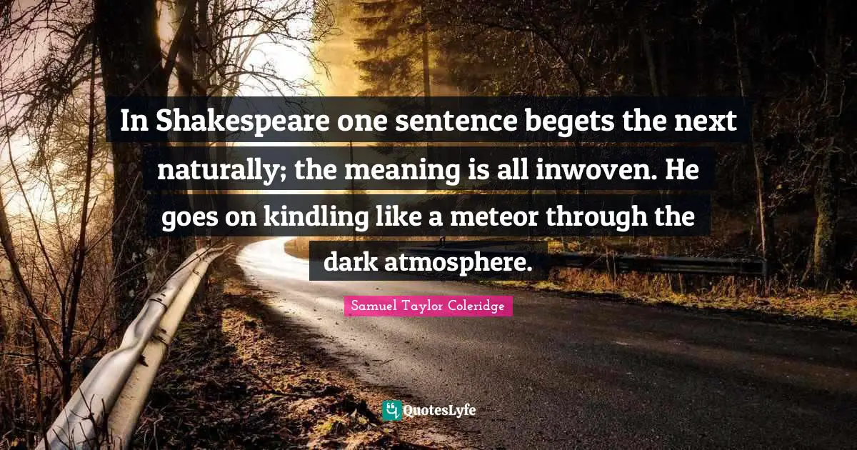 In Shakespeare one sentence begets the next naturally; the meaning is all inwoven. He goes on kindling like a meteor through the dark atmosphere.