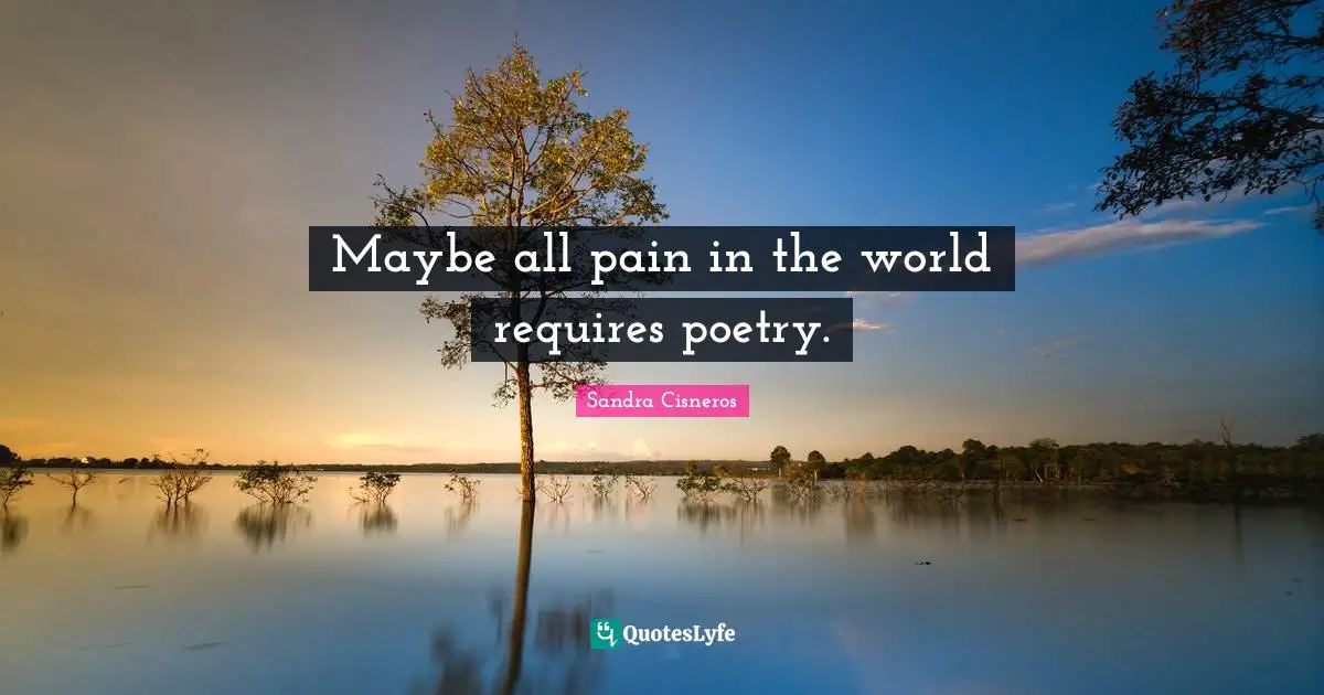 Maybe all pain in the world requires poetry.