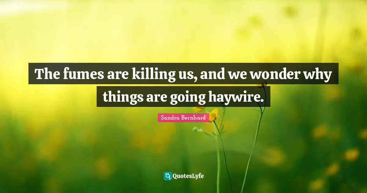 The fumes are killing us, and we wonder why things are going haywire.
