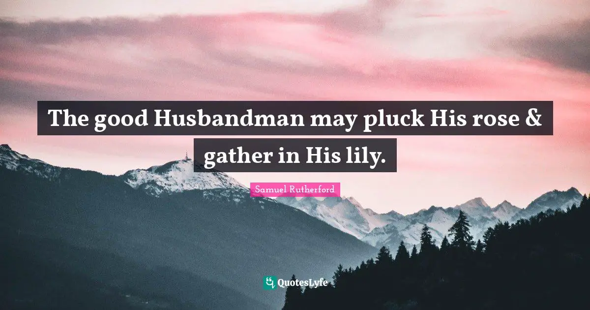 Samuel Rutherford Quotes: "The good Husbandman may pluck His rose & gather in His lily."