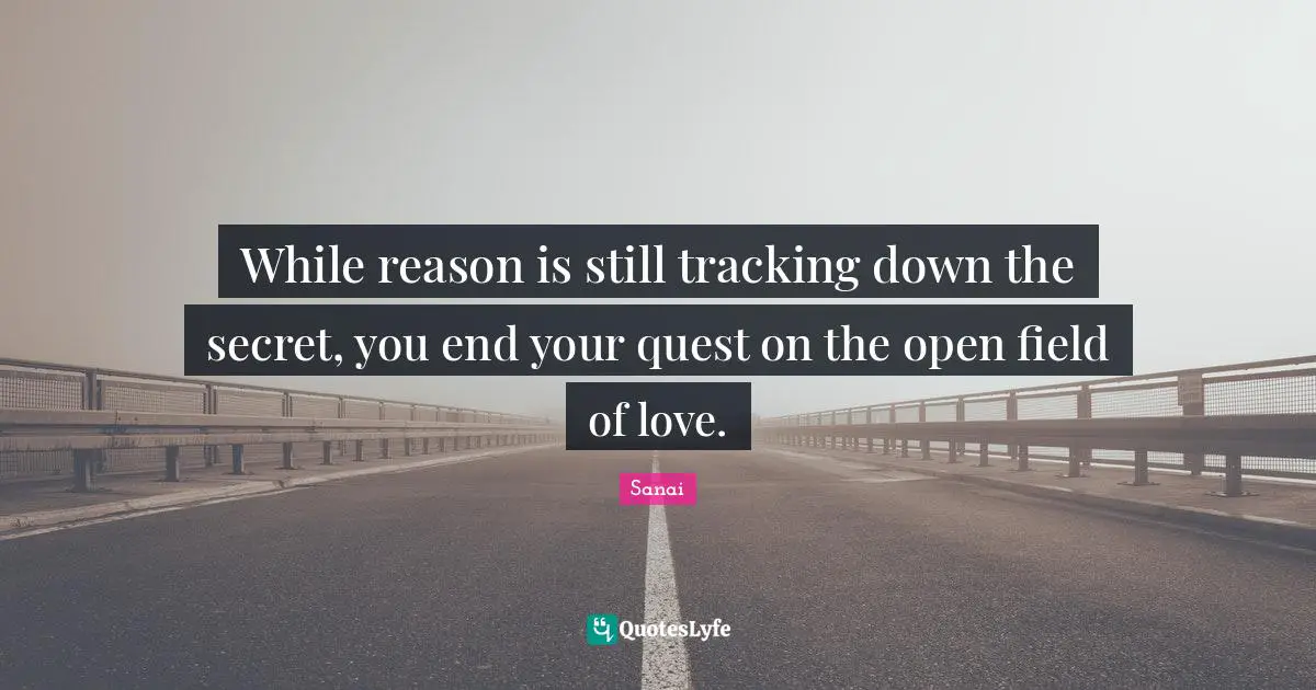 Tracking Quotes: "While reason is still tracking down the secret, you end your quest on the open field of love."