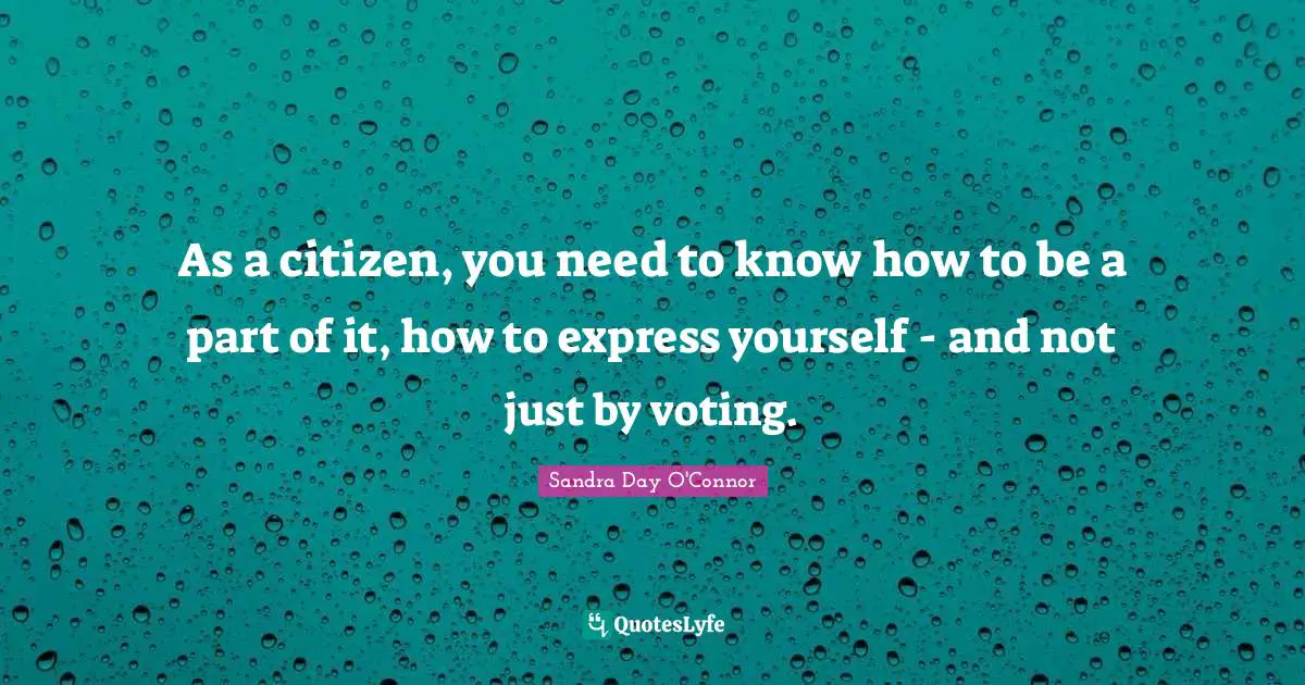 As a citizen, you need to know how to be a part of it, how to express yourself - and not just by voting.