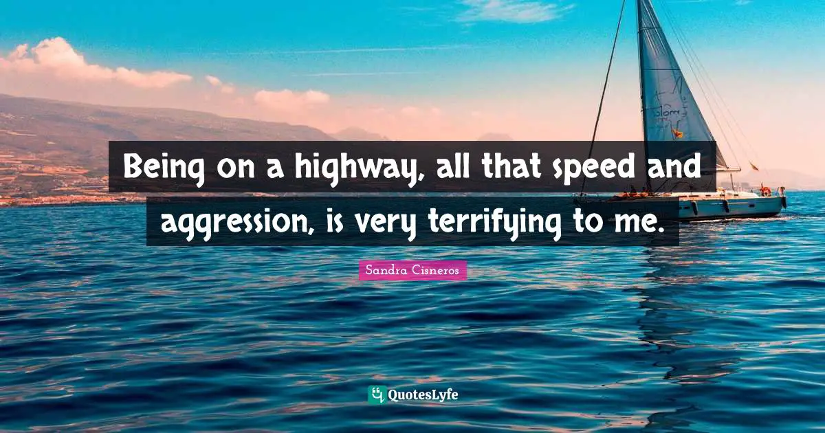 Being on a highway, all that speed and aggression, is very terrifying to me.