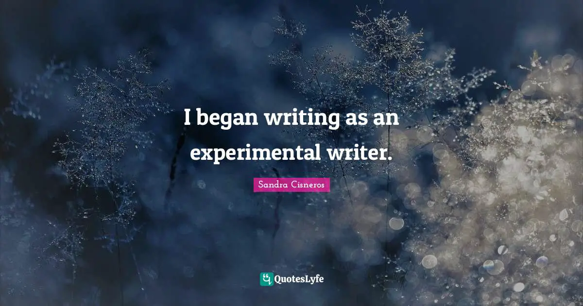 I began writing as an experimental writer.