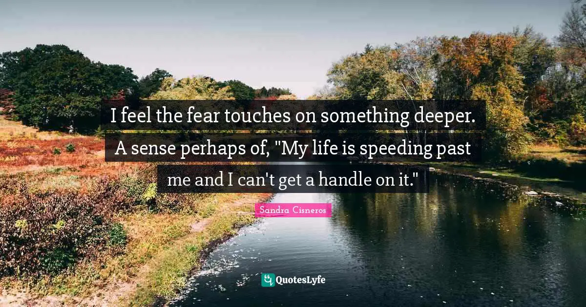 I feel the fear touches on something deeper. A sense perhaps of, "My life is speeding past me and I can't get a handle on it."