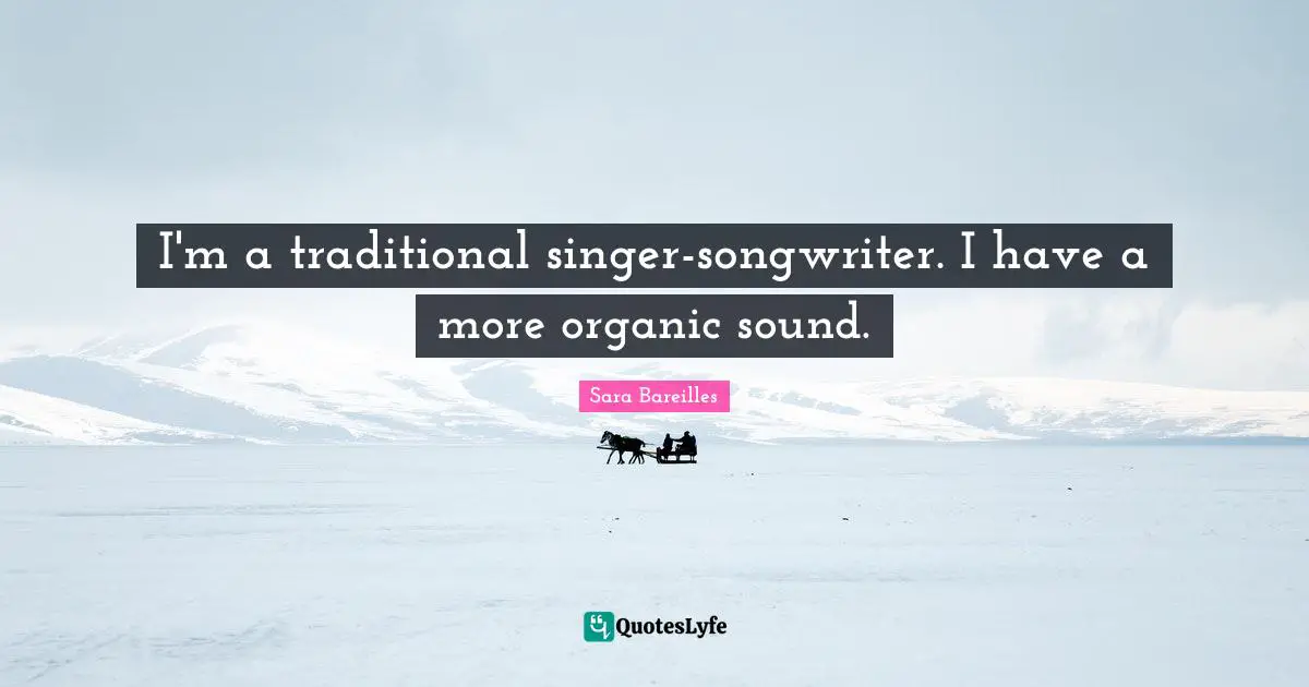 I'm a traditional singer-songwriter. I have a more organic sound.