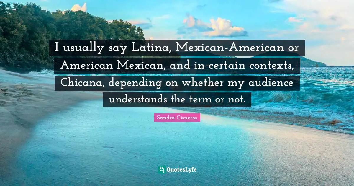 Term Quotes: "I usually say Latina, Mexican-American or American Mexican, and in certain contexts, Chicana, depending on whether my audience understands the term or not."
