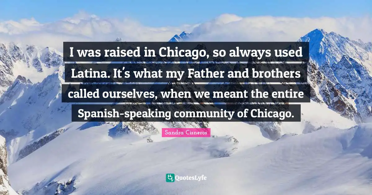 I was raised in Chicago, so always used Latina. It's what my Father and brothers called ourselves, when we meant the entire Spanish-speaking community of Chicago.