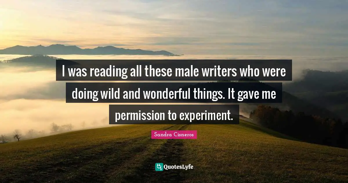 I was reading all these male writers who were doing wild and wonderful things. It gave me permission to experiment.