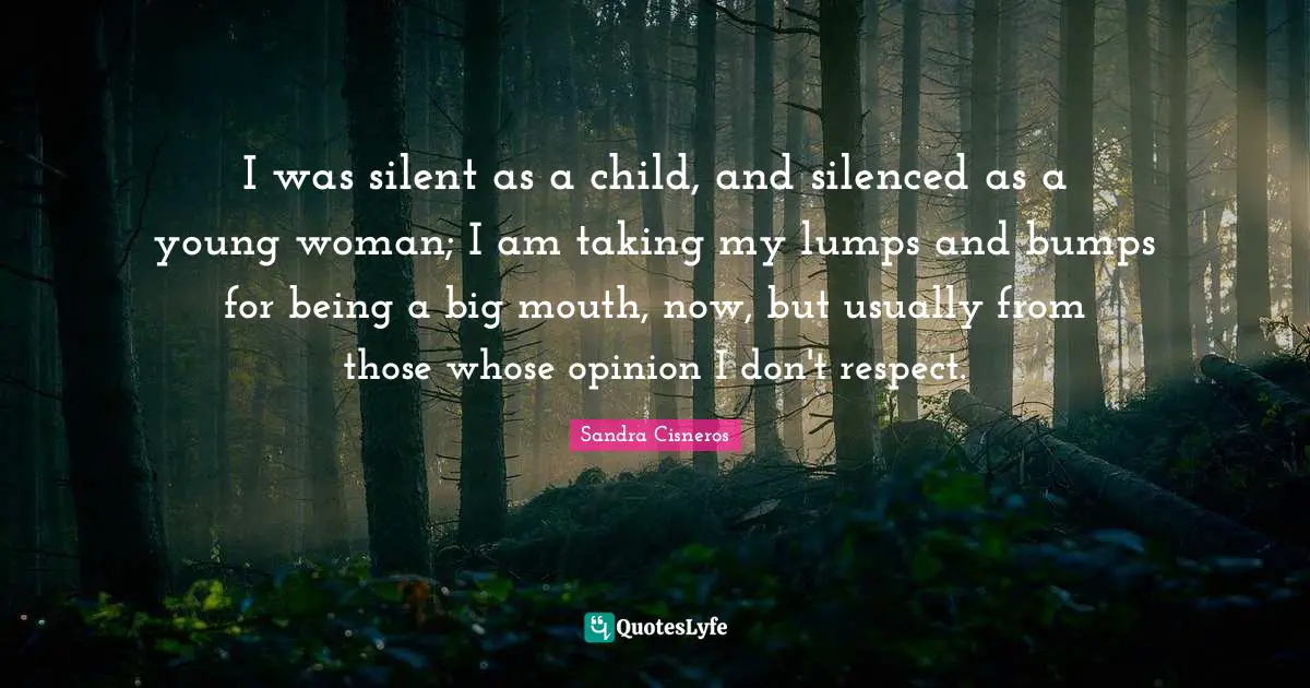 Bumps Quotes: "I was silent as a child, and silenced as a young woman; I am taking my lumps and bumps for being a big mouth, now, but usually from those whose opinion I don't respect."