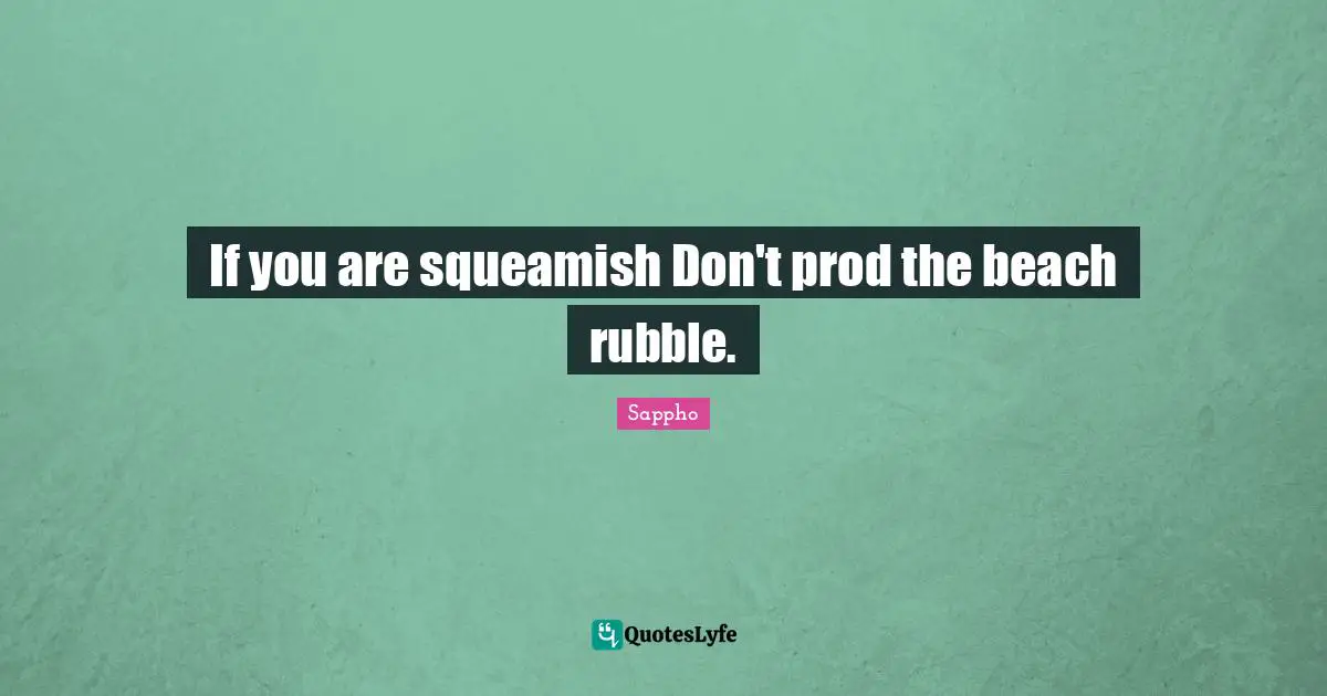 Rubble Quotes: "If you are squeamish Don't prod the beach rubble."