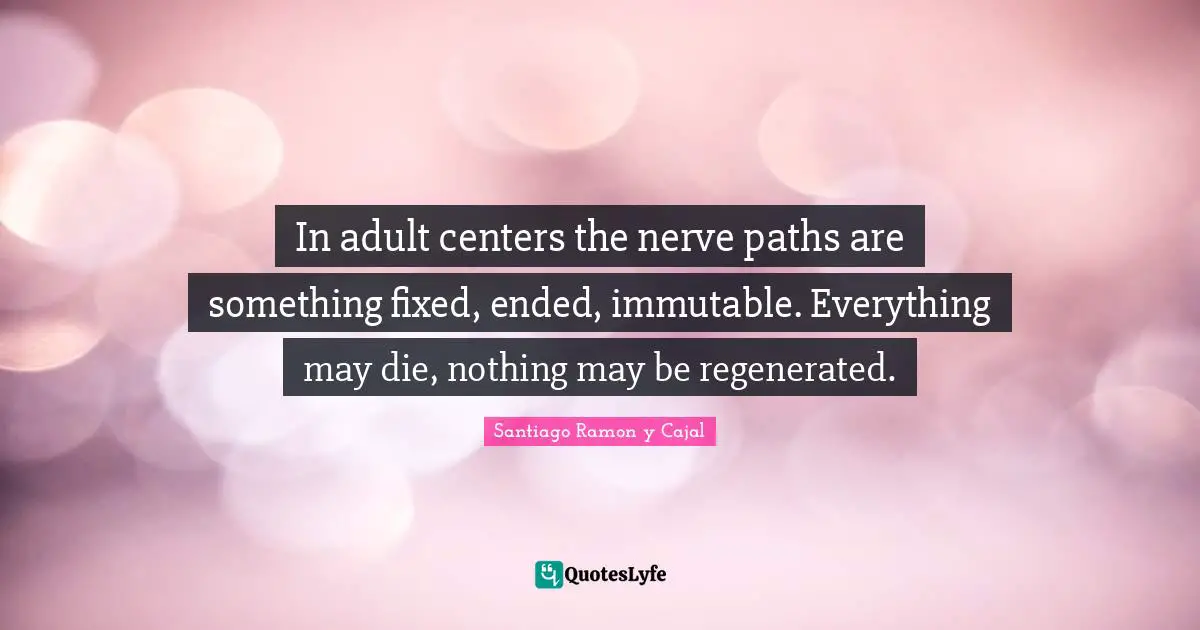 Santiago Ramon Y Cajal Quotes: "In adult centers the nerve paths are something fixed, ended, immutable. Everything may die, nothing may be regenerated."