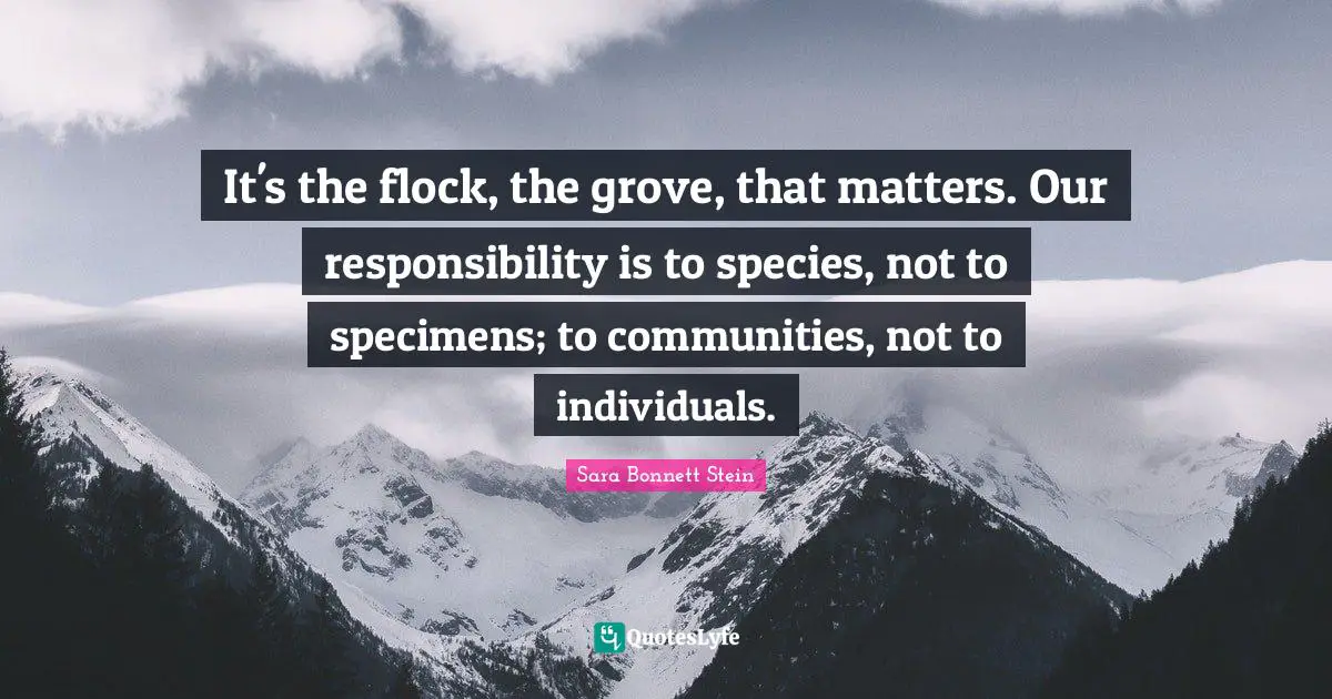It's the flock, the grove, that matters. Our responsibility is to species, not to specimens; to communities, not to individuals.