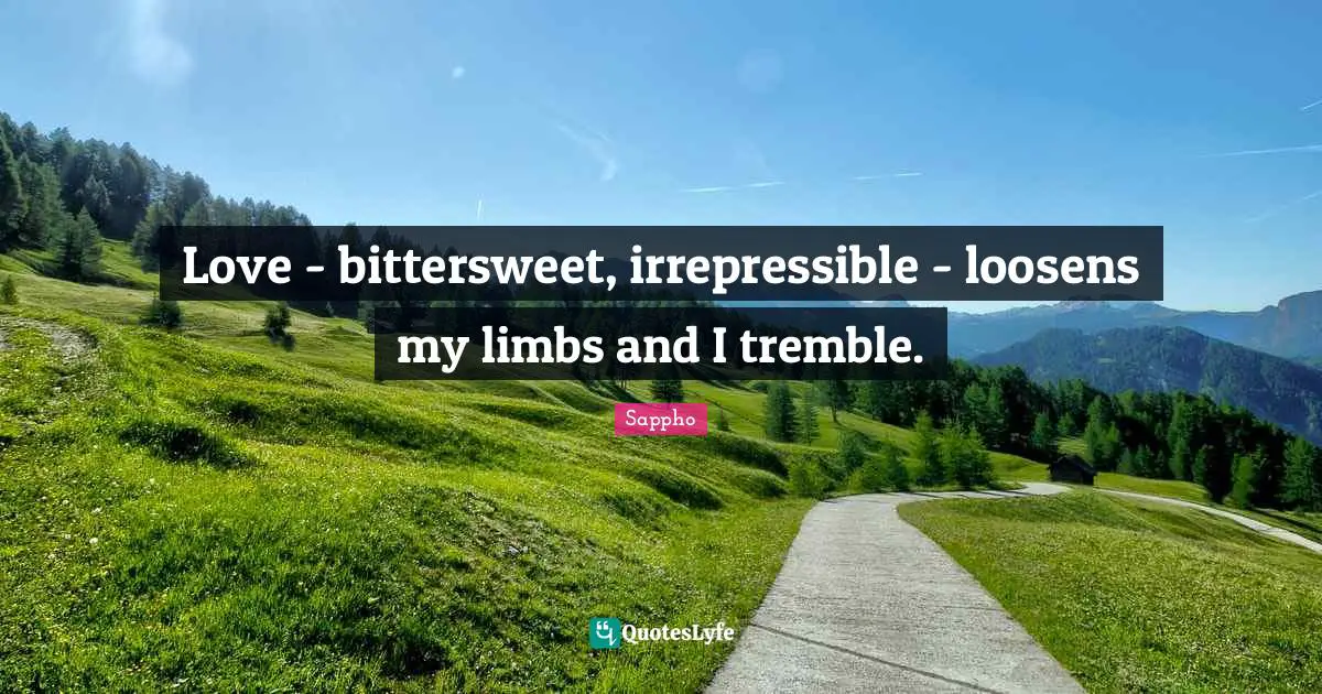 Bittersweet Quotes: "Love - bittersweet, irrepressible - loosens my limbs and I tremble."