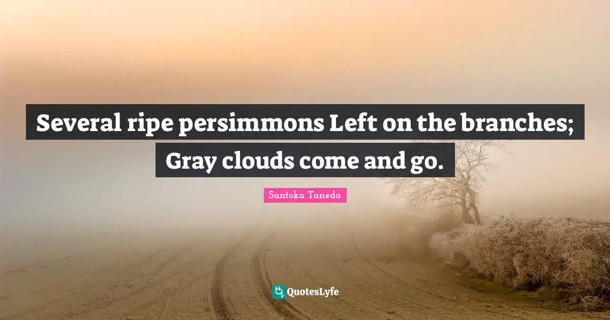 Ripe Quotes: "Several ripe persimmons Left on the branches; Gray clouds come and go."