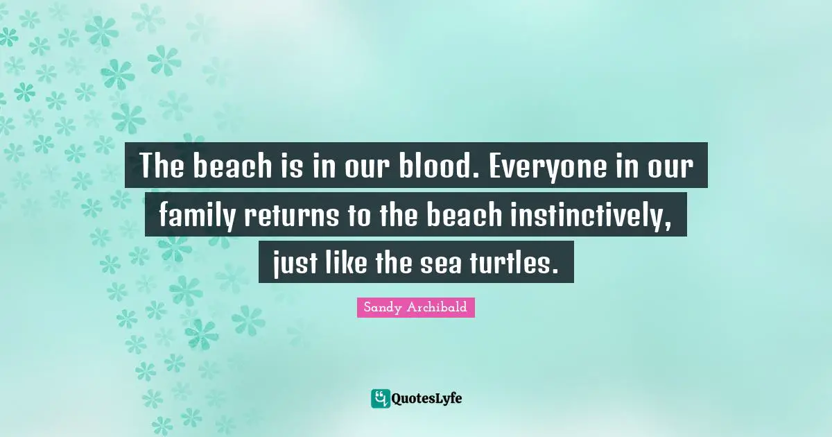 The beach is in our blood. Everyone in our family returns to the beach instinctively, just like the sea turtles.