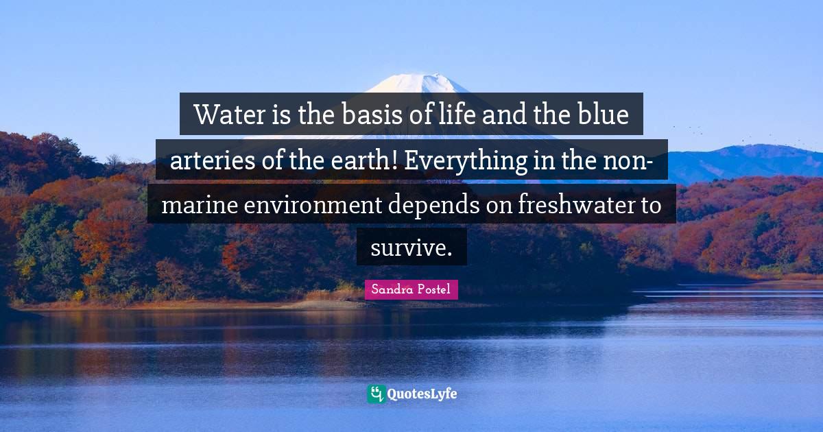 Water is the basis of life and the blue arteries of the earth! Everyth