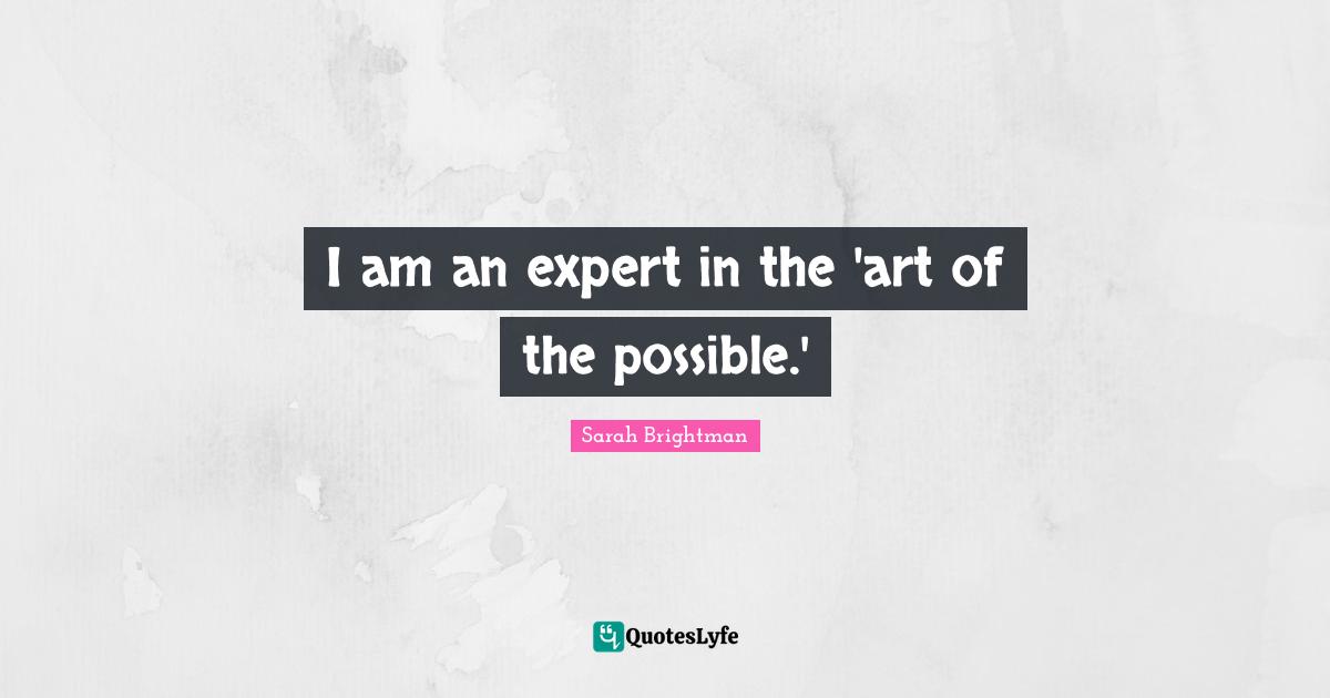 I am an expert in the 'art of the possible.'