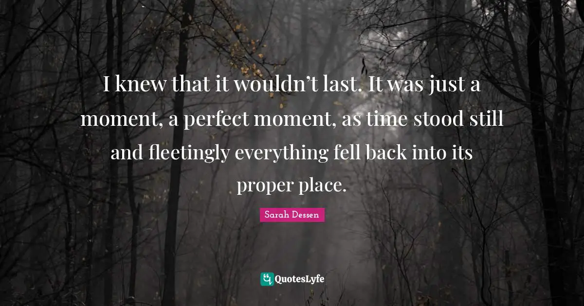 I knew that it wouldn’t last. It was just a moment, a perfect moment, as time stood still and fleetingly everything fell back into its proper place.