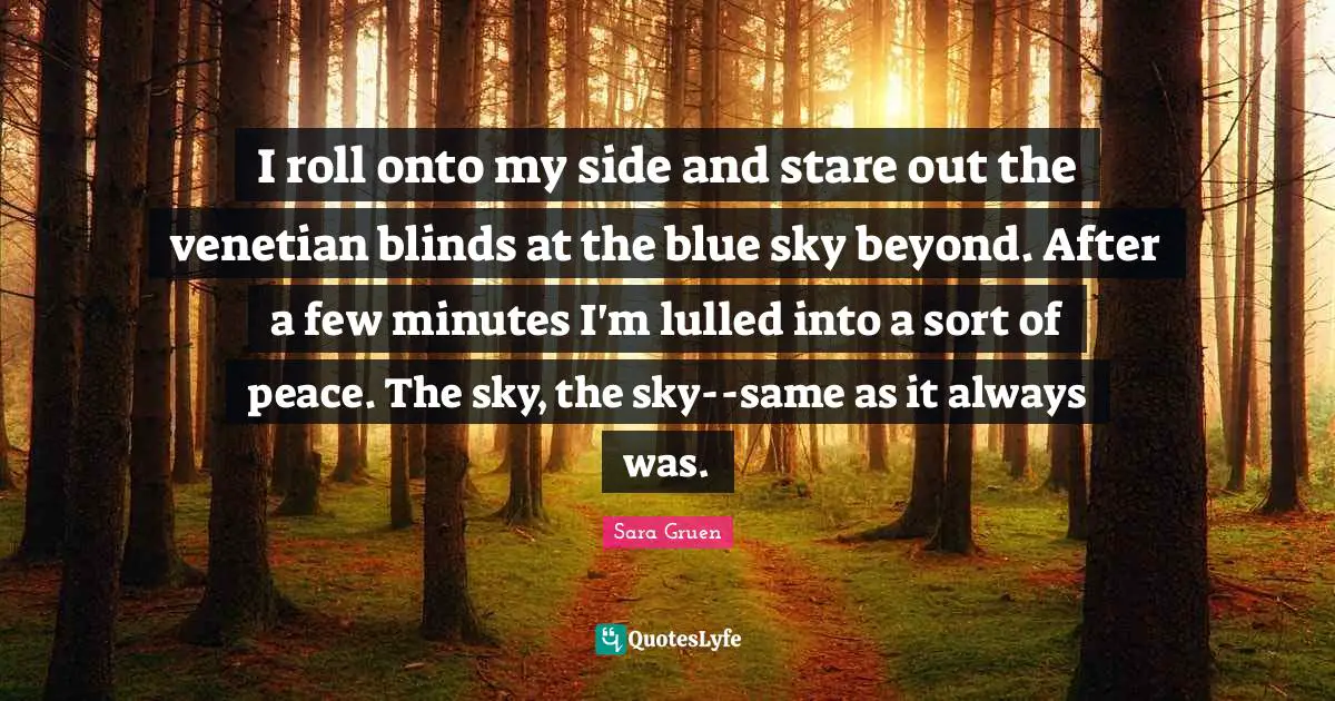 I roll onto my side and stare out the venetian blinds at the blue sky beyond. After a few minutes I'm lulled into a sort of peace. The sky, the sky--same as it always was.