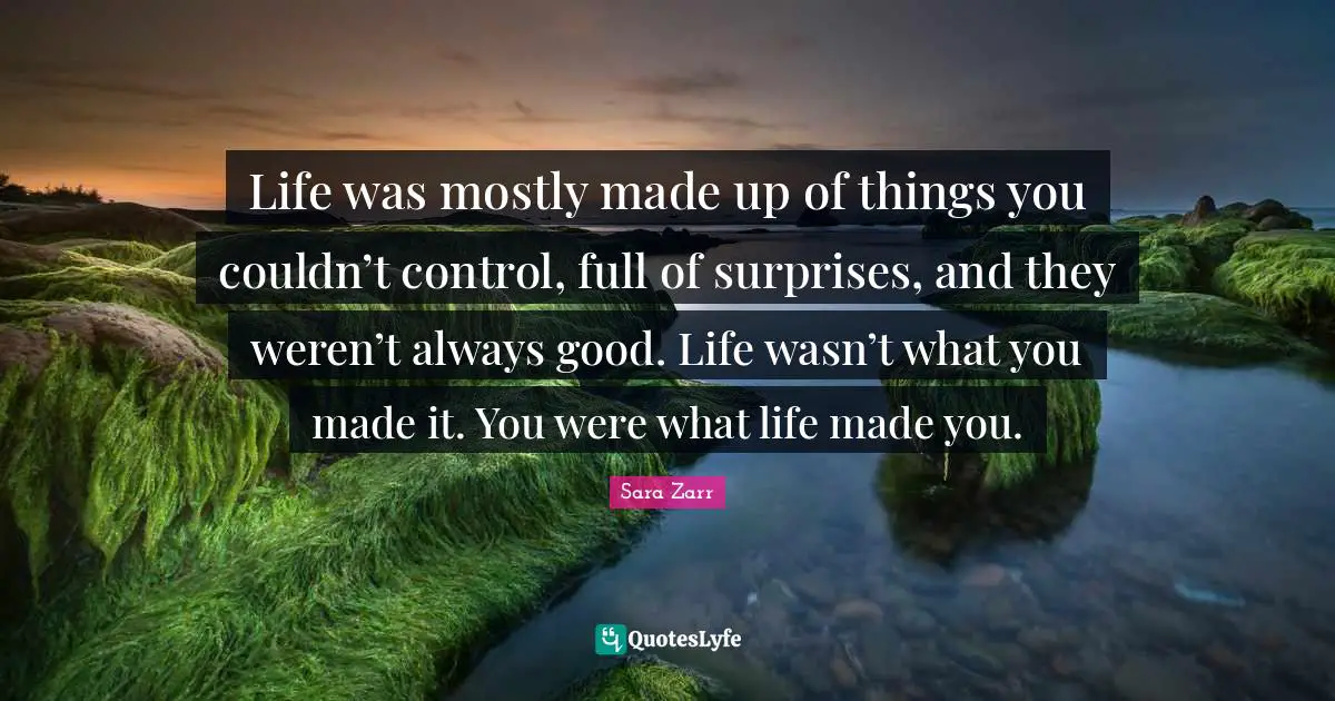 Life was mostly made up of things you couldn’t control, full of surprises, and they weren’t always good. Life wasn’t what you made it. You were what life made you.