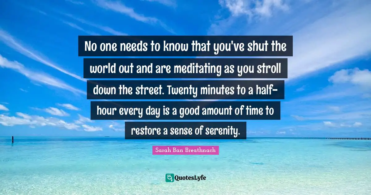 No one needs to know that you've shut the world out and are meditating as you stroll down the street. Twenty minutes to a half-hour every day is a good amount of time to restore a sense of serenity.